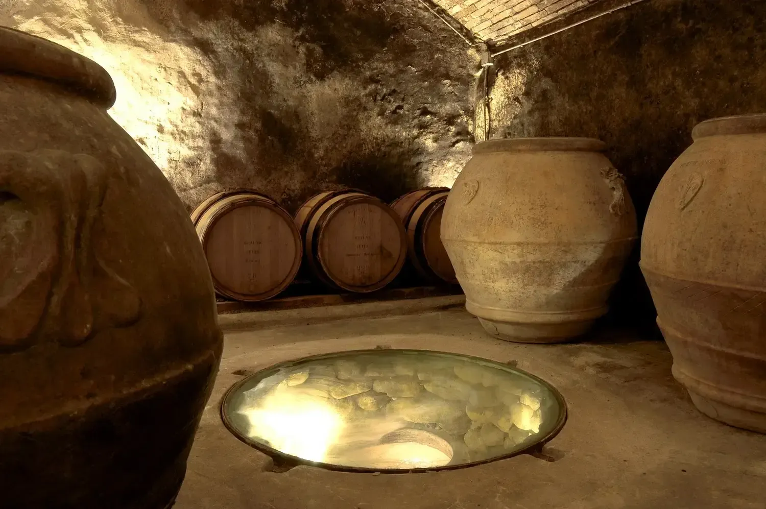 cantina fattoria san pancrazio
